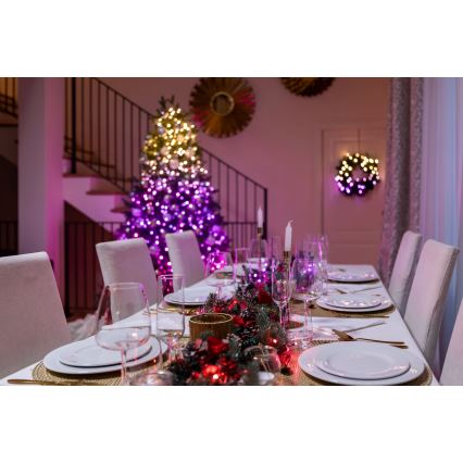 Twinkly - himmennettävä ulkokäyttöinen LED RGBW-valosarja STRINGS 250 LED 23,5 m IP44 Wi-Fi