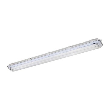 Työloisteputkivalo T8 2xG13/18W/230V IP65