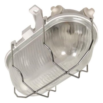 Ulkoinen kattovalaisin RADUS 1xE27/60W/230V IP54 valkoinen