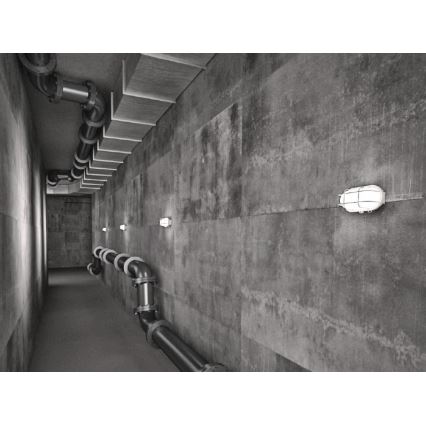 Ulkokattovalaisin OVAL 1xE27/60W/230V IP44 valkoinen