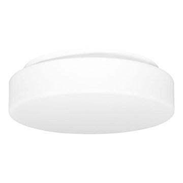 Ulkokattovalo HECTOR 1xE27/60W/230V halkaisija 30 cm IP44 opaali valkoinen