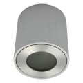 Ulkokäyttöinen kohdevalaisin FARA 1xGU10/30W/230V IP54 hopea