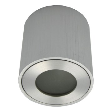Ulkokäyttöinen kohdevalaisin FARA 1xGU10/30W/230V IP54 hopea