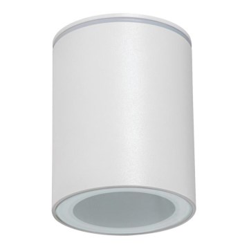 Ulkokohdevalaisin AQILO 1xGU10/7W/230V IP65 valkoinen