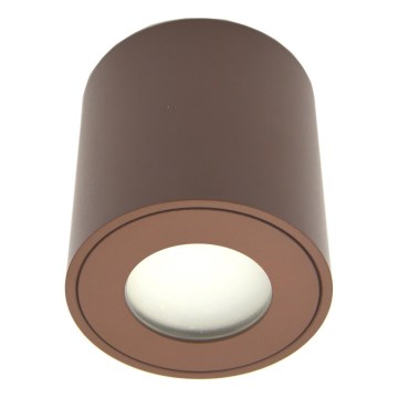 Ulkokohdevalaisin FARA 1xGU10/30W/230V IP54 ruskea