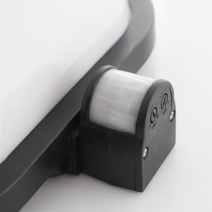 Ulkoseinävalaisin anturilla T261 1xE27/60W/230V IP44