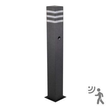 Ulkoseinävalaisin anturilla TEKSAS 1xE27/12W/230V IP44 74 cm antrasiitti
