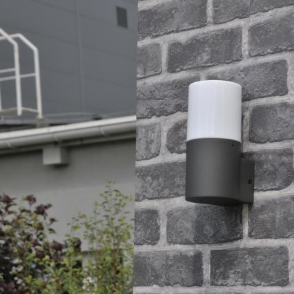 Ulkoseinävalaisin DALLAS 1xE27/12W/230V IP44 antrasiitti