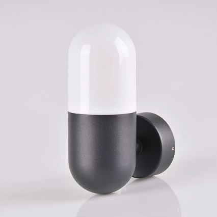 Ulkoseinävalaisin HORTEN 1xE27/10W/230V IP44