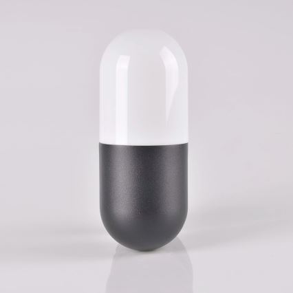 Ulkoseinävalaisin HORTEN 1xE27/10W/230V IP44