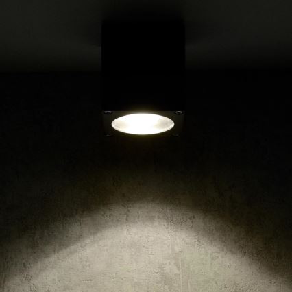 Ulkoseinävalaisin MORRIS 1xGU10/35W/230V IP54