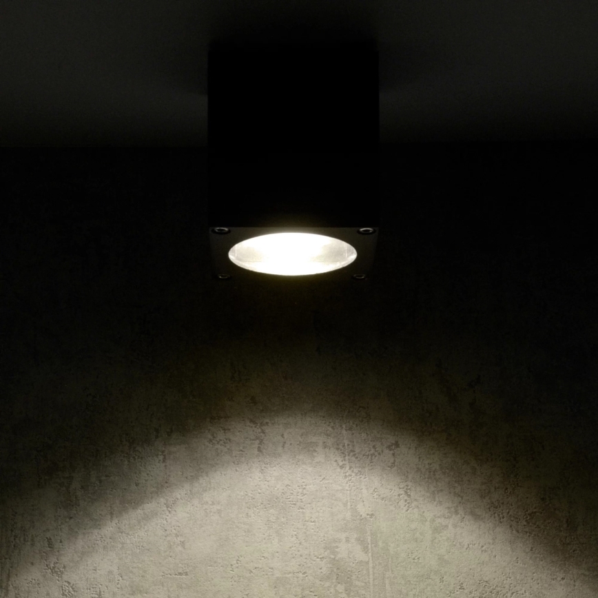 Ulkoseinävalaisin MORRIS 1xGU10/35W/230V IP54