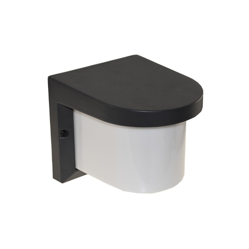 Ulkoseinävalaisin PETUNIA 1xE27/60W/230V IP44 antrasiitti