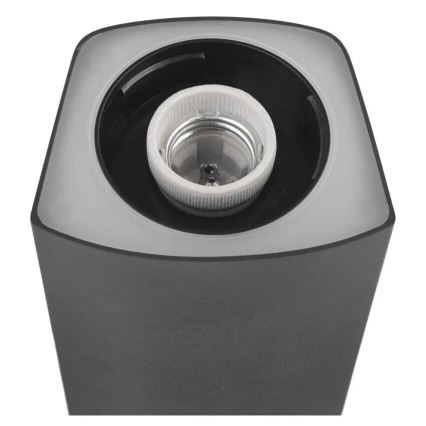 Ulkovalaisin LANA 1xE27/25W/230V IP54 75 cm