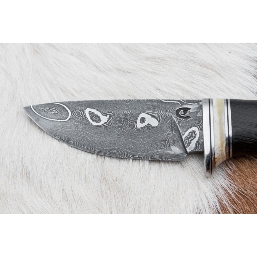 Uniikki Damascus-veitsi 8,6 cm tammi/kamelin luu
