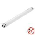 UV-loisteputki hyönteisloukkuun G13/10W/230V 36,5 cm - BRILAGI