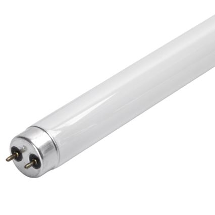 UV-loisteputki hyönteisloukkuun G13/10W/230V 36,5 cm - BRILAGI