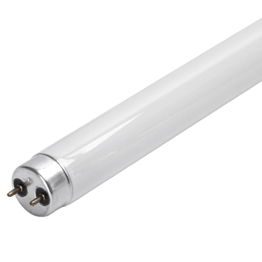 UV-loisteputki hyönteisloukkuun G13/10W/230V 36,5 cm - BRILAGI