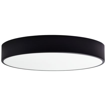 Vara lasikupu kattovalaisimeen CLEO 50 cm lasi