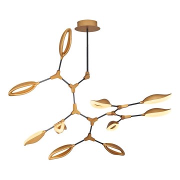 Varrellinen LED-kattokruunu ASTI 10xLED/7W/230V 3000K kultainen