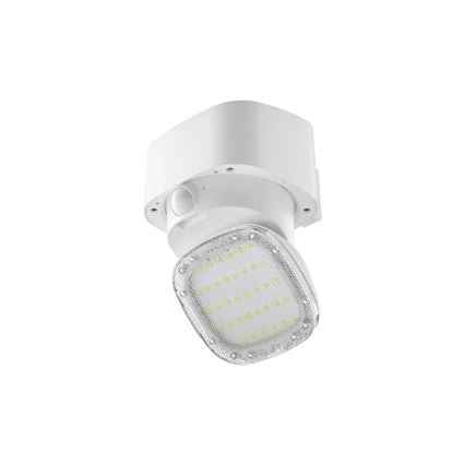 Viking - LED-aurinkoseinävalaisin anturilla LED/1W/3,7V IP44 3000/4000K 4000 mAh