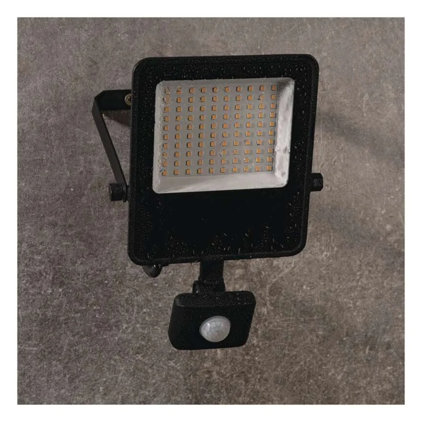 LED-valonheitin sensorilla VISIO LED/50W/230V 4000K IP65