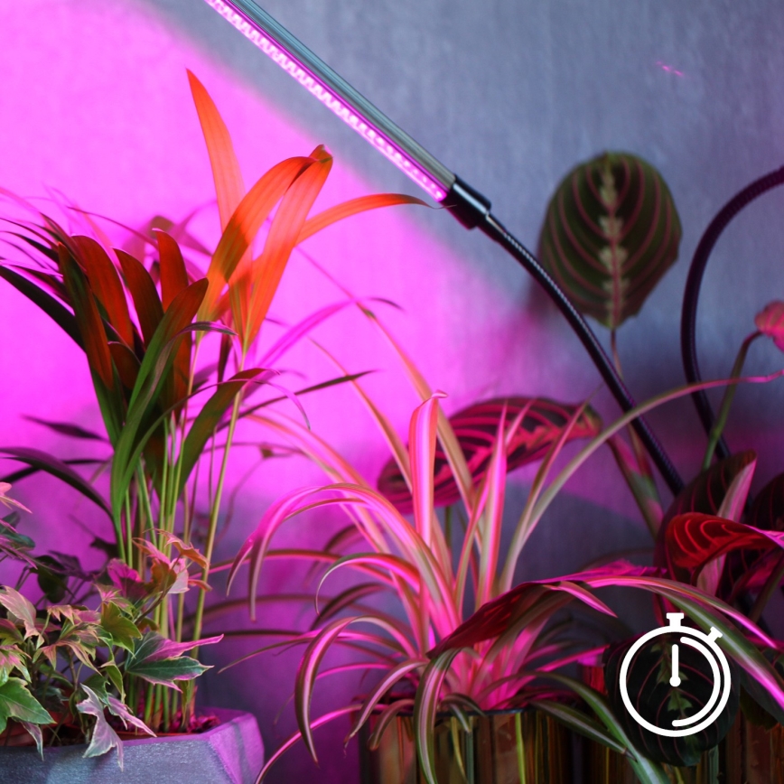 LED himmennettävä joustava pöytävalaisin kasvien kasvatukseen, klipsillä VITARO 4xLED/10W/230V musta