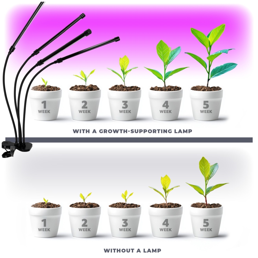 LED himmennettävä joustava pöytävalaisin kasvien kasvatukseen, klipsillä VITARO 4xLED/10W/230V musta