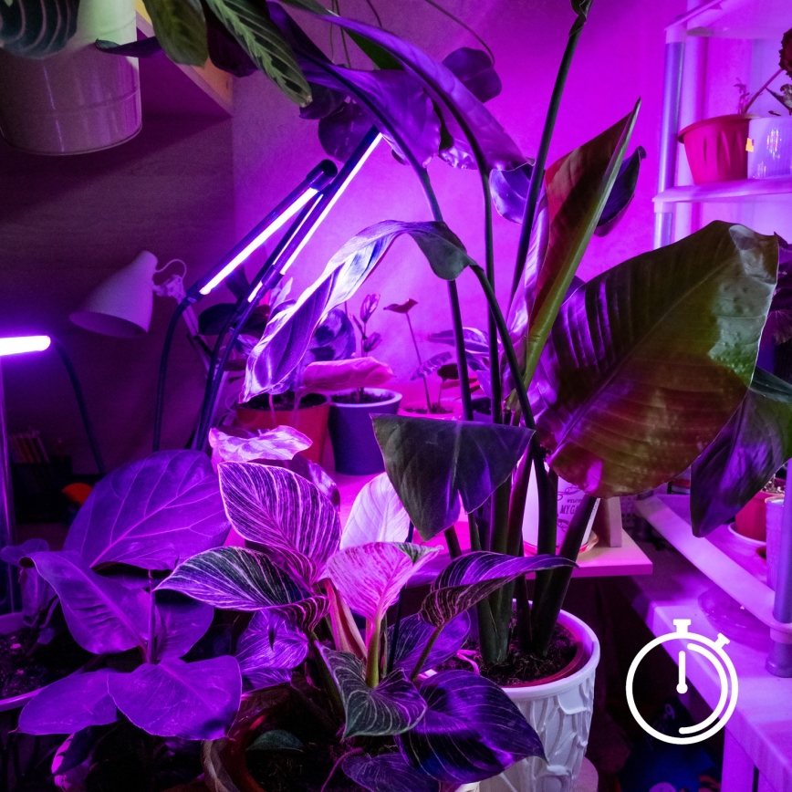 LED-säädettävä joustava pöytälamppu kasvien kasvatukseen, VITARO 3xLED/10W/230V musta, klipsikiinnitys