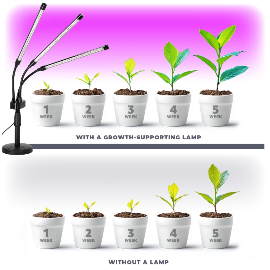 LED himmennettävä joustava pöytävalaisin kasvien kasvatukseen VITARO 3xLED/10W/230V musta