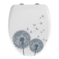 WENKO 22409100-WC WC-istuin ASTERA 45x38 cm monivärinen/hopea