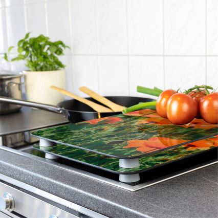 WENKO 2521434500 - Suojalevy ABDECKPLATTE - kukka/kasvi 30x52 cm, monivärinen