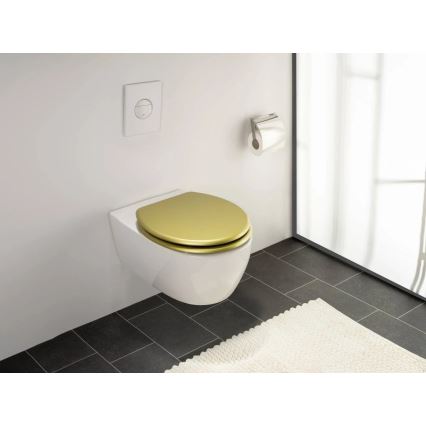 WENKO 26010100 - WC-istuimen kansi ALDENO 37x41 cm kultainen/hopeinen