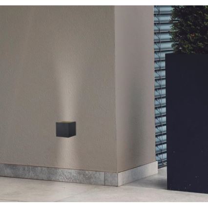 Westinghouse 61149 - LED-ulkoseinävalaisin FREYA 2xLED/4,5W/230V IP44 musta