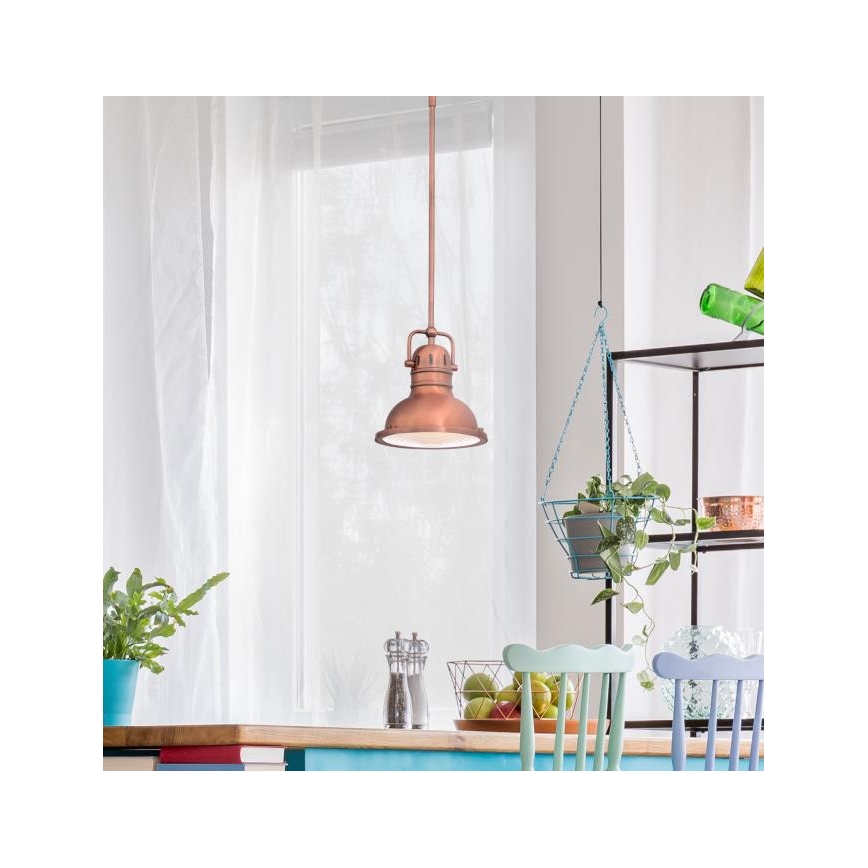 Westinghouse 6308440 - Varrellinen kattovalaisin BOSWELL 1xE27/60W/230V halkaisija 22 cm
