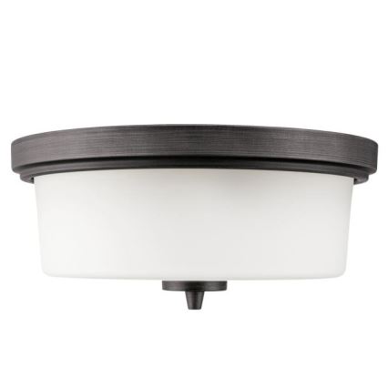Westinghouse 6325140 - Kattovalaisin CEDRIC 2xE27/40W/230V, halkaisija 33 cm