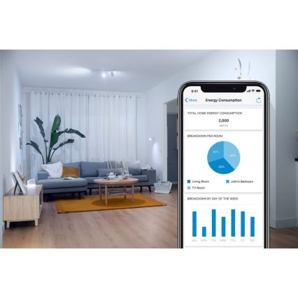 WiZ - Älykäs pistoke F 2300W + powermeter Wi-Fi SCHUKO