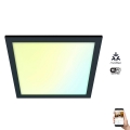 WiZ - LED Himmennettävä kattovalo SUPERSLIM LED/12W/230V 2700-6500K Wi-Fi musta