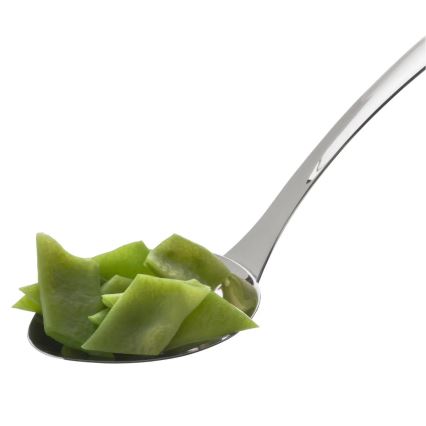 WMF - Tarjoilulusikka PROFI PLUS, ruostumattomasta teräksestä