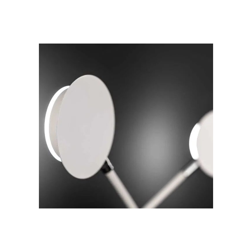 Wofi 446602069000 - LED-seinävalaisin BELIZE 2xLED/5W/230V 3000K valkoinen