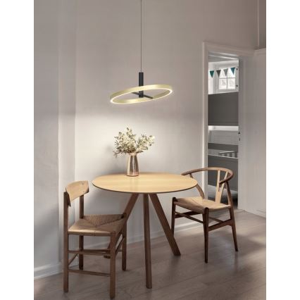 Wofi 6016-104L - LED-himmennettävä riippuvalaisin vaijerilla BREST LED/19W/230V Ø 42 cm musta/kulta