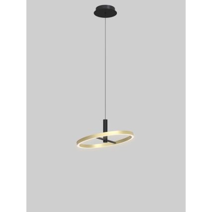 Wofi 6016-104L - LED-himmennettävä riippuvalaisin vaijerilla BREST LED/19W/230V Ø 42 cm musta/kulta