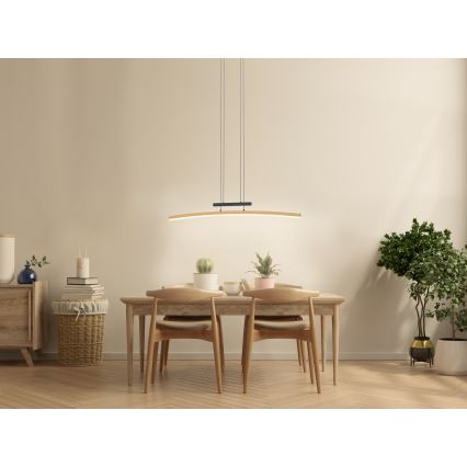 Wofi 7020-106 - LED himmennettävä kattokruunu johdolla BOLOGNA LED/27W/230V