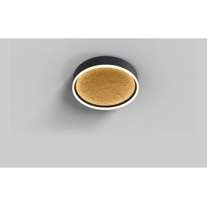 Wofi 9002-104M - LED himmennettävä kattovalaisin BORDEAUX LED/37W/230V musta/kulta