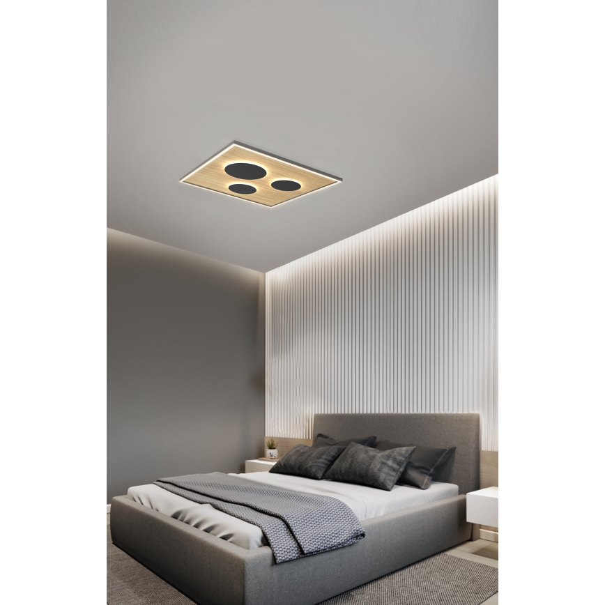 Wofi 9012-306L - LED himmennettävä kattovalaisin DIJON LED/40W/230V