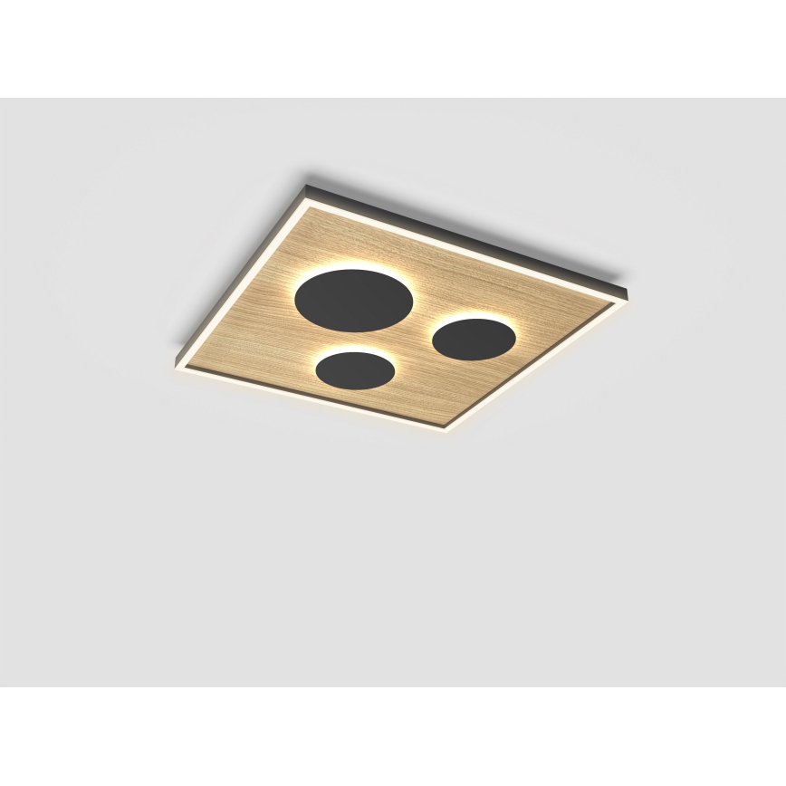 Wofi 9012-306L - LED himmennettävä kattovalaisin DIJON LED/40W/230V