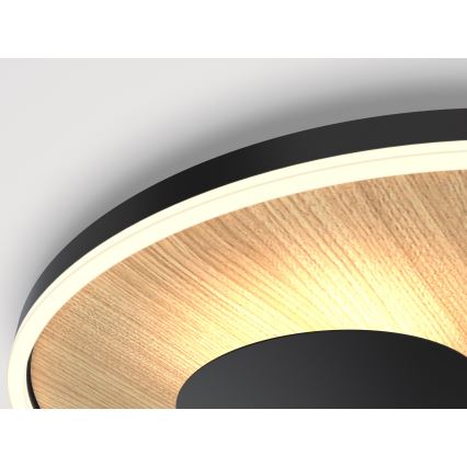 Wofi 9013-306S - himmennettävä LED-kattovalaisin REIMS LED/26W/230V