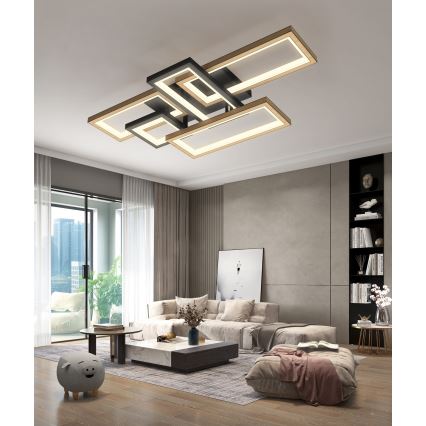 Wofi 9022-506 - Himennettävä LED-kattovalaisin MATERA LED/60W/230V