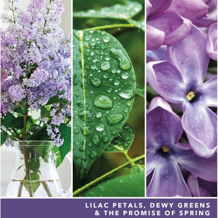 Yankee Candle - Tuoksukynttilä LILAC BLOSSOMS suuri 567g 60-90 tuntia