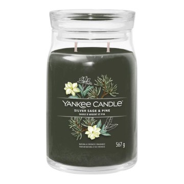 Yankee Candle - Tuoksukynttilä SILVER SAGE & PINE suuri 567 g 60-90 h